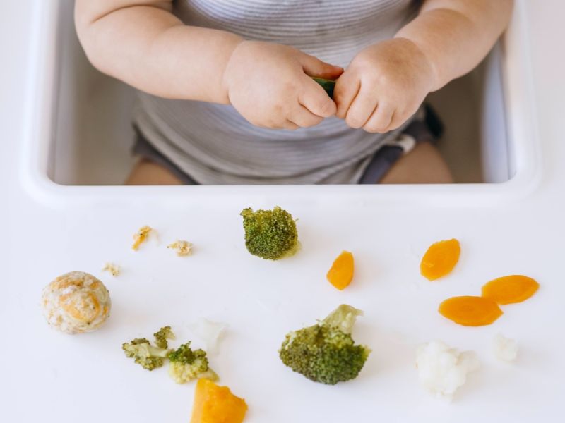 Corsi per famiglie a Bologna