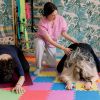 ginnastica-in-gravidanza-a-bologna-il-giusto-allenamento